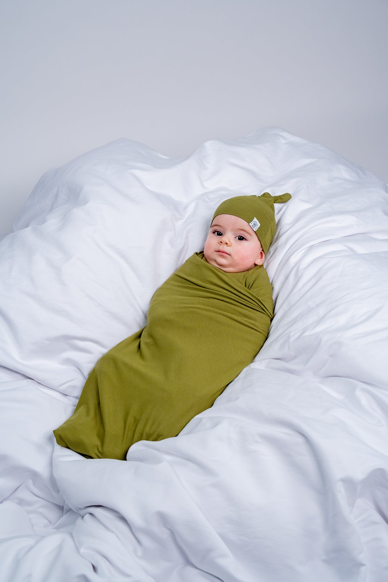 Olive Grove Zippy