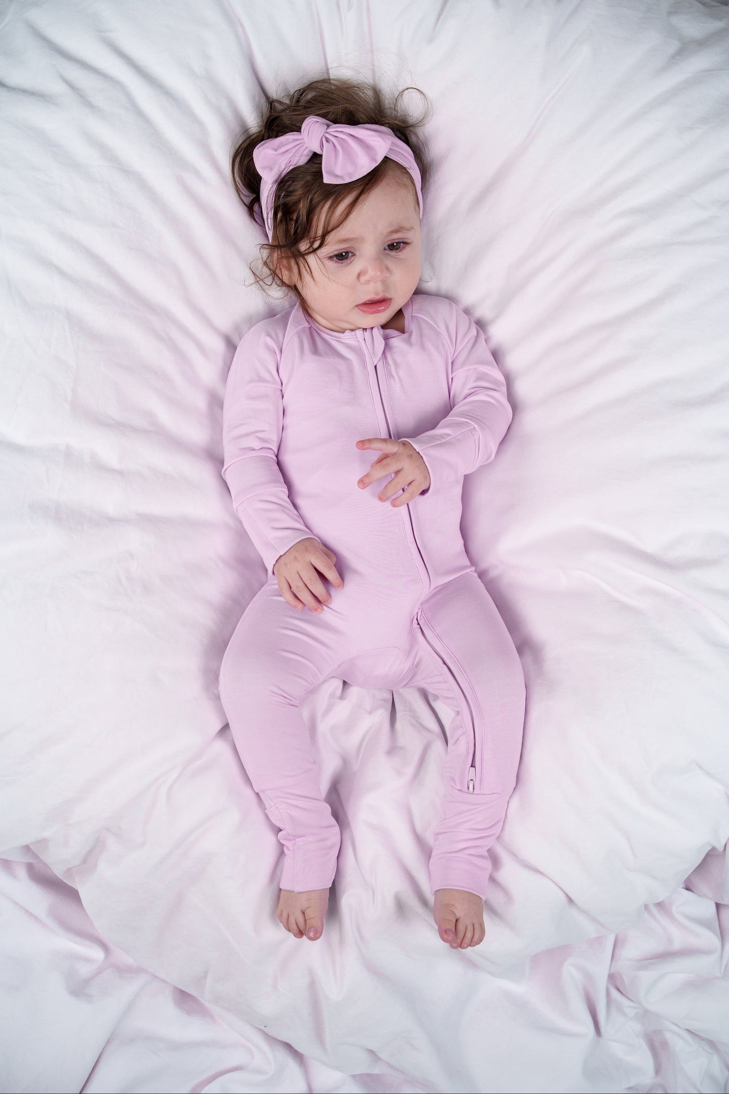 Lavender Field Zippy