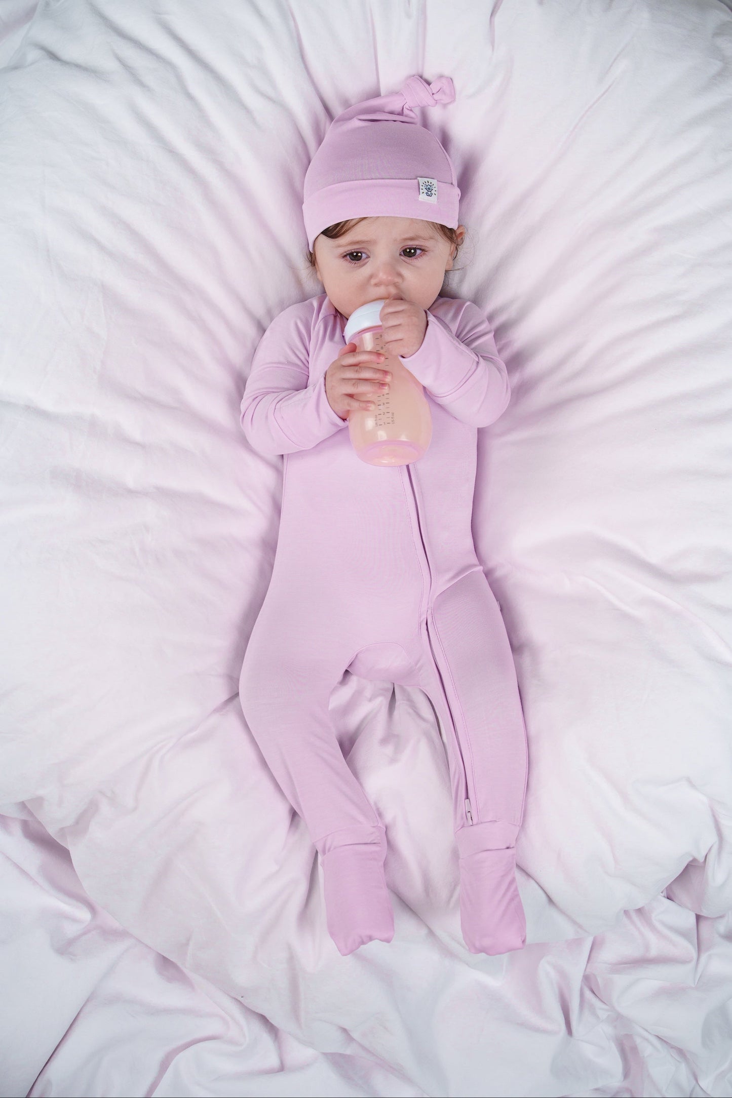 Lavender Field Zippy